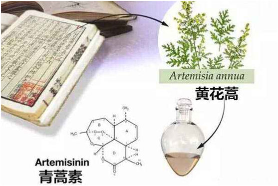 开云在线注册：向中医药看齐，与世界共享中医药文化(图1)